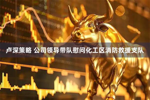 卢深策略 公司领导带队慰问化工区消防救援支队