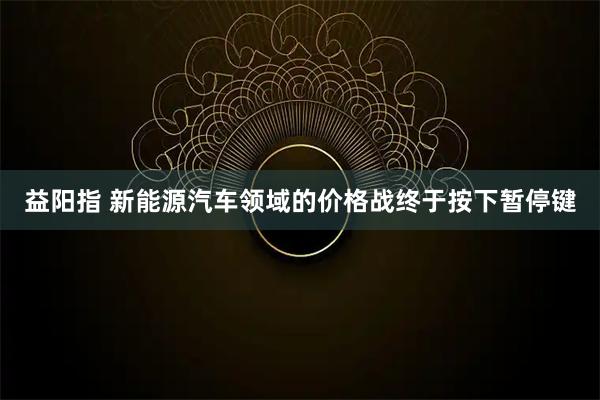 益阳指 新能源汽车领域的价格战终于按下暂停键