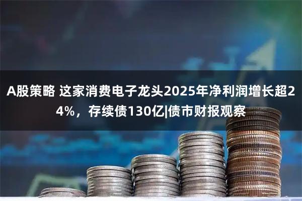 A股策略 这家消费电子龙头2025年净利润增长超24%，存续债130亿|债市财报观察