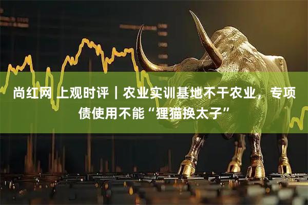 尚红网 上观时评｜农业实训基地不干农业，专项债使用不能“狸猫换太子”