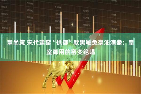 掌尚策 宋代建窑“供御”款黑釉兔毫油滴盏：皇室御用的窑变绝唱