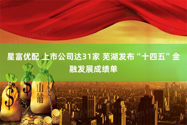 星富优配 上市公司达31家 芜湖发布“十四五”金融发展成绩单