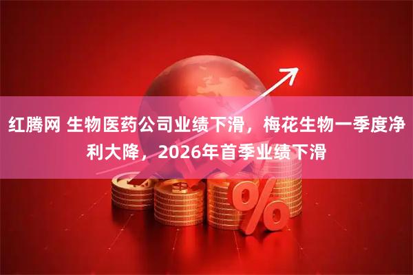 红腾网 生物医药公司业绩下滑，梅花生物一季度净利大降，2026年首季业绩下滑
