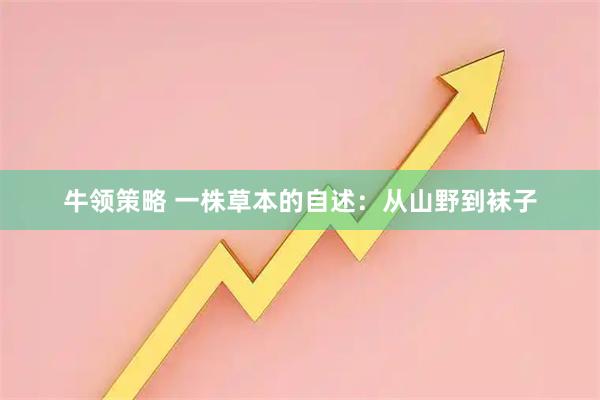 牛领策略 一株草本的自述：从山野到袜子