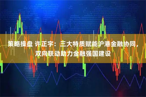策略操盘 许正宇：三大特质赋能沪港金融协同，双向联动助力金融强国建设