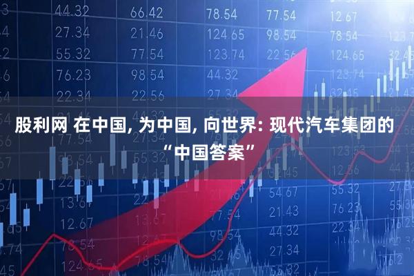 股利网 在中国, 为中国, 向世界: 现代汽车集团的 “中国答案”