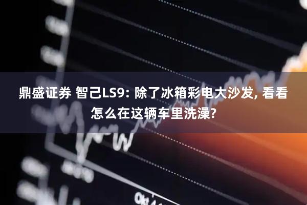 鼎盛证券 智己LS9: 除了冰箱彩电大沙发, 看看怎么在这辆车里洗澡?
