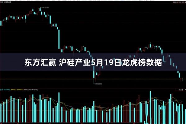 东方汇赢 沪硅产业5月19日龙虎榜数据